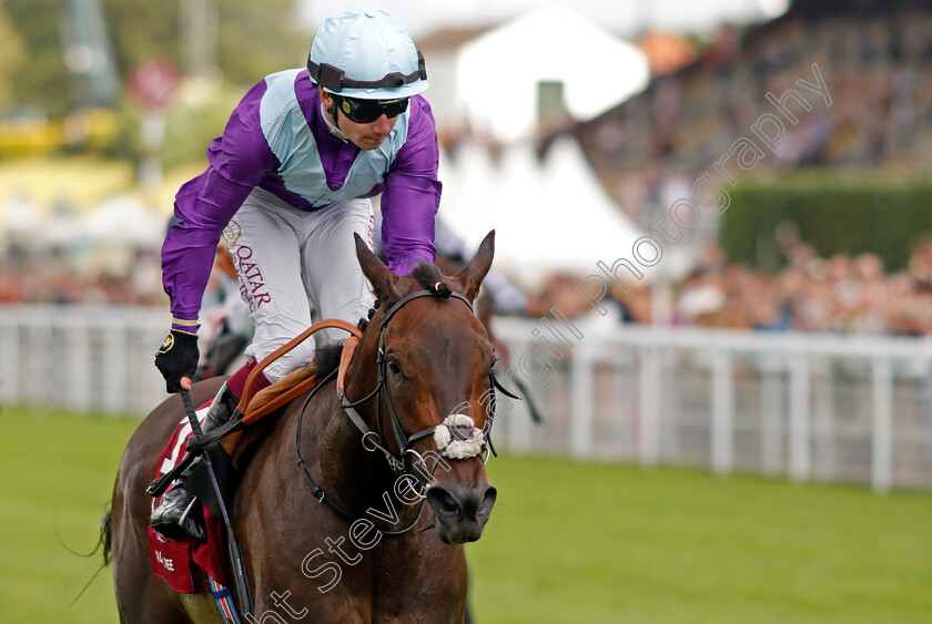 Alcohol-Free-0008 
 ALCOHOL FREE (Oisin Murphy) wins The Qatar Sussex Stakes
Goodwood 28 Jul 2021 - Pic Steven Cargill / Racingfotos.com