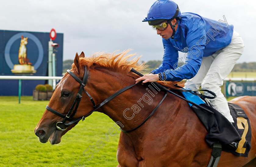 Olympus-Point-0001 
 OLYMPUS POINT (William Buick) wins The Federation Of Bloodstock Agents Nursery
Newmarket 26 Sep 2024 - Pic Steven Cargill / Racingfotos.com