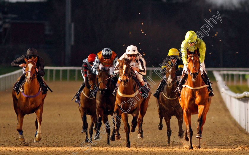 Snaffled-0005 
 SNAFFLED (right, Sean Levey) beats TAKEONEFORTHETEAM (centre) in The 32Red Casino Handicap Wolverhampton 15 Jan 2018 - Pic Steven Cargill / Racingfotos.com