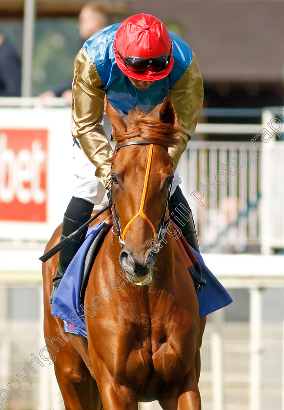 Isaac-Shelby-0002 
 ISAAC SHELBY (Sean Levey)
York 26 Aug 2023 - Pic Steven Cargill / Racingfotos.com