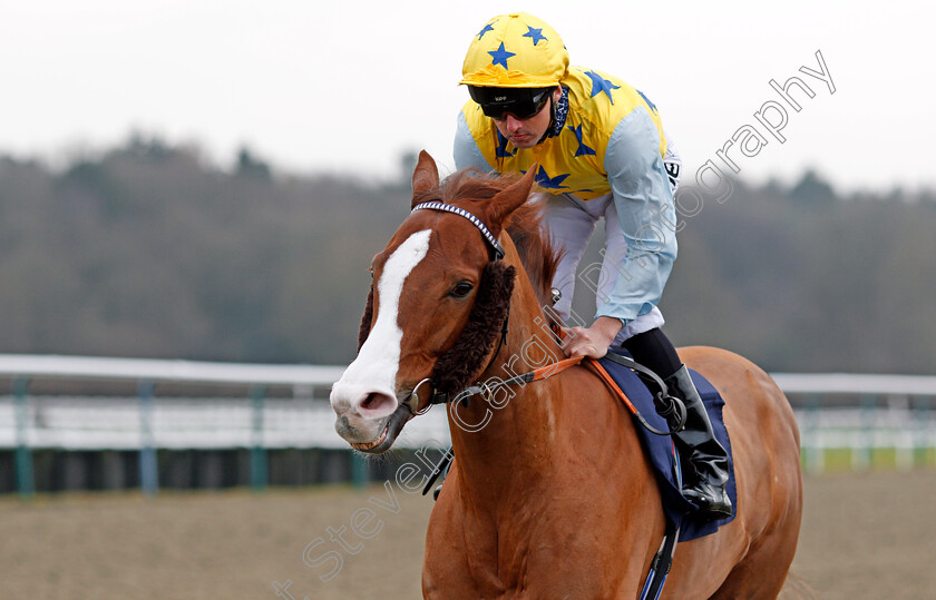 Arcanada-0001 
 ARCANADA (Martin Harley) winner of The Play For Free At sunbets.co.uk/vegas Conditions Stakes Lingfield 6 Jan 2018 - Pic Steven Cargill / Racingfotos.com