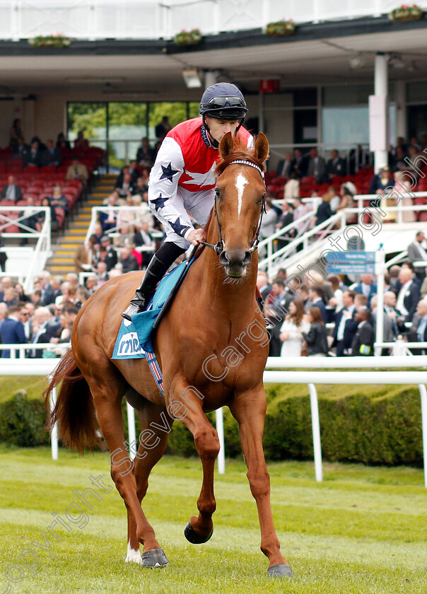 Proschema-0002 
 PROSCHEMA (Richard Kingscote) 
Chester 9 May 2018 - Pic Steven Cargill / Racingfotos.com