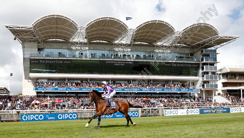 Magna-Grecia-0002 
 MAGNA GRECIA (Donnacha O'Brien) before winning The Qipco 2000 Guineas
Newmarket 4 May 2019 - Pic Steven Cargill / Racingfotos.com