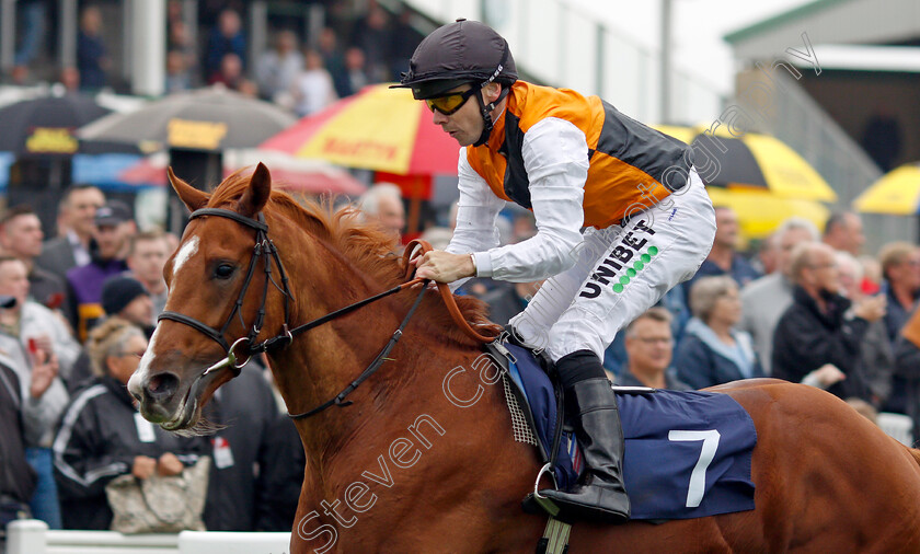 Light-Infantry-0006 
 LIGHT INFANTRY (Jamie Spencer) wins The British Stallion Studs EBF Novice Stakes
Yarmouth 14 Sep 2021 - Pic Steven Cargill / Racingfotos.com