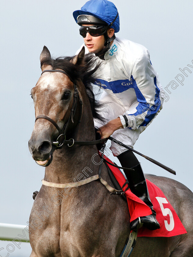 Lethal-Guest-0001 
 LETHAL GUEST (Charles Bishop)
Sandown 9 Aug 2018 - Pic Steven Cargill / Racingfotos.com