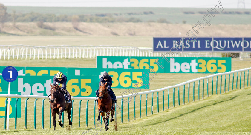 Sakheer-0007 
 SAKHEER (left, David Egan) with MITBAAHY (right) in racecourse gallop
Newmarket 18 Apr 2023 - Pic Steven Cargill / Racingfotos.com