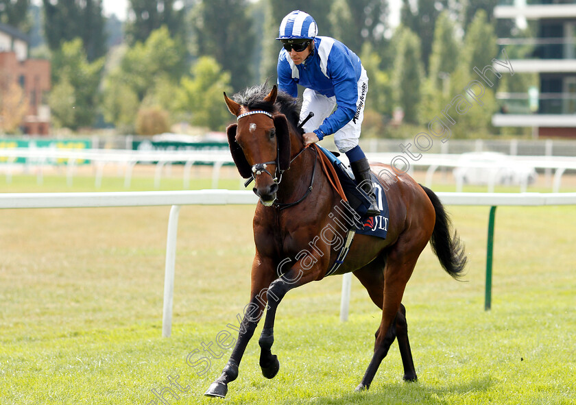 Quloob-0001 
 QULOOB (Jim Crowley)
Newbury 21 Jul 2018 - Pic Steven Cargill / Racingfotos.com