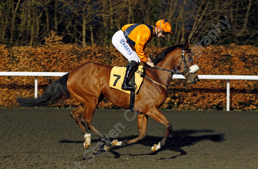 Potters-Diamond-0002 
 POTTERS DIAMOND (Joey Haynes)
Kempton 14 Feb 2024 - Pic Steven Cargill / Racingfotos.com