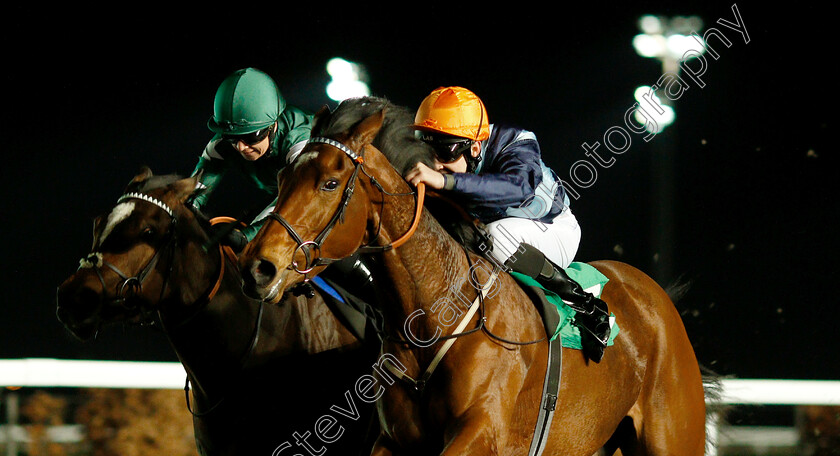 Madame-Tantzy-0004 
 MADAME TANTZY (right, Charles Bishop) beats NOOSHIN (left) in The 32Red On The App Store Fillies Novice Stakes Div2
Kempton 23 Mar 2019 - Pic Steven Cargill / Racingfotos.com