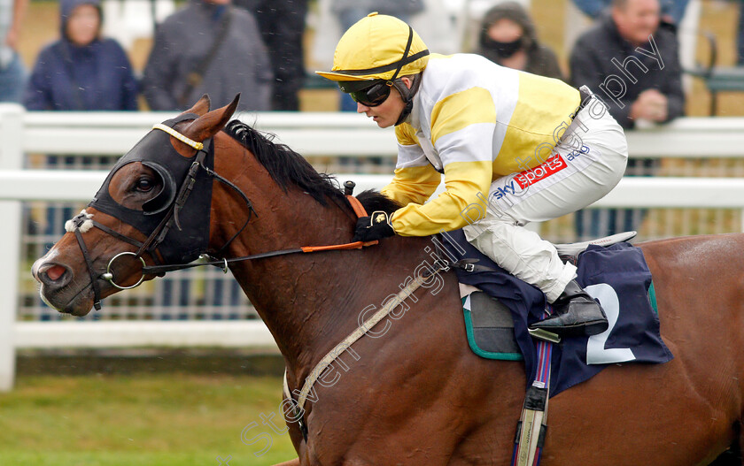 Secret-Handsheikh-0004 
 SECRET HANDSHEIKH (Hollie Doyle) wins The Follow At The Races On Twitter Classified Claiming Stakes 
Yarmouth 14 Sep 2021 - Pic Steven Cargill / Racingfotos.com