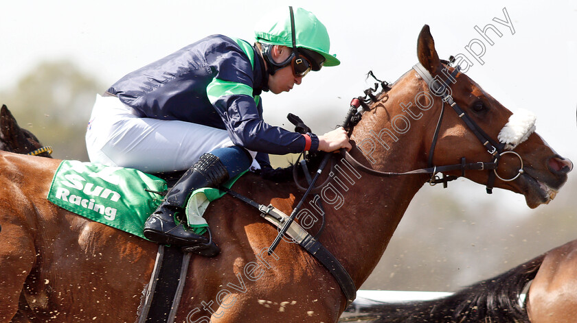 Lion-Hearted-0001 
 LION HEARTED (Mark Crehan)
Lingfield 19 Apr 2019 - Pic Steven Cargill / Racingfotos.com