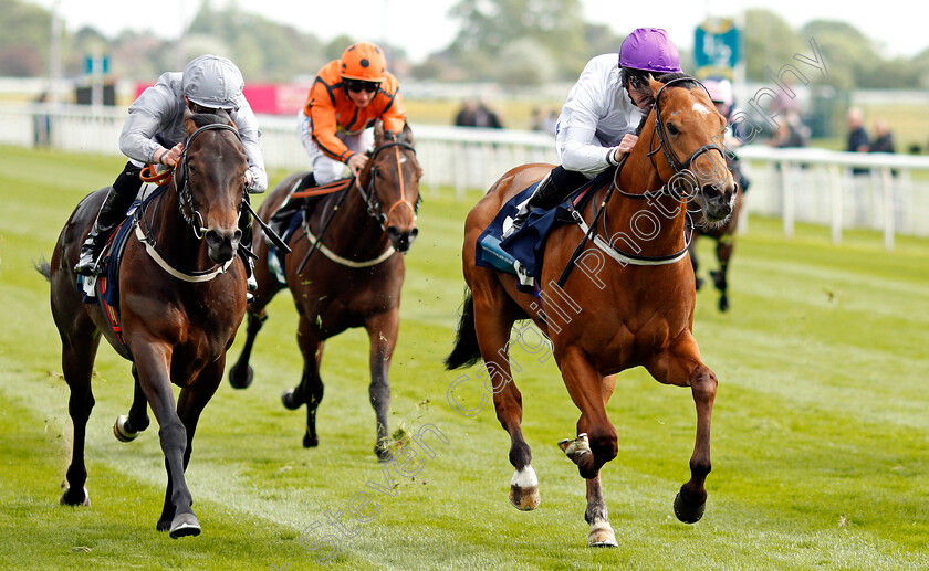 Charming-Kid-0005 
 CHARMING KID (right, Paul Hanagan) beats WORLD ORDER (left) in The British Stallion Studs EBF Novice Stakes York 16 May 2018 - Pic Steven Cargill / Racingfotos.com