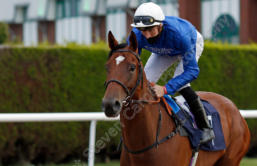 Raased-0001 
 RAASED (Hector Crouch)
Wolverhampton 31 Jul 2020 - Pic Steven Cargill / Racingfotos.com