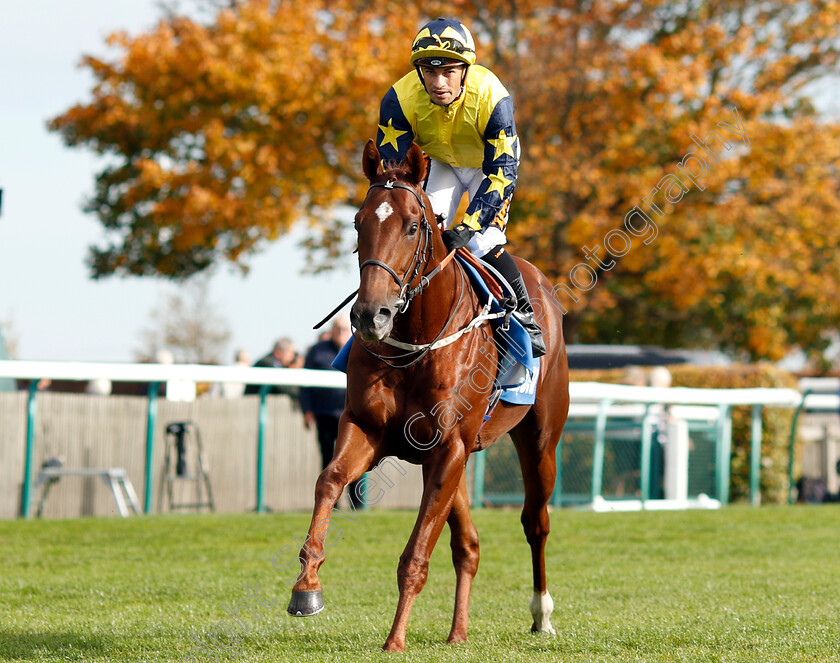 Massam-0002 
 MASSAM (Silvestre De Sousa)
Newmarket 13 Oct 2018 - Pic Steven Cargill / Racingfotos.com