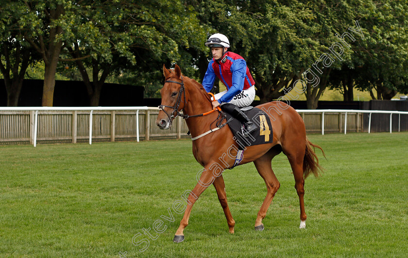 Noteable-0001 
 NOTEABLE (Richard Kingscote)
Newmarket 6 Aug 2021 - Pic Steven Cargill / Racingfotos.com