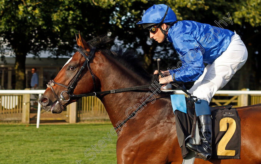 Beccali-0002 
 BECCALI (William Buick)
Newmarket 9 Aug 2024 - Pic Steven Cargill / Racingfotos.com