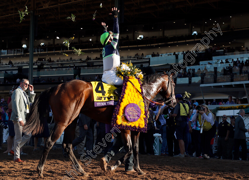 Storm-The-Court-0010 
 STORM THE COURT (Flavien Prat) after The Breeders' Cup Juvenile
Santa Anita USA 1 Nov 2019 - Pic Steven Cargill / Racingfotos.com