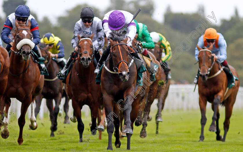 Diligently-0003 
 DILIGENTLY (Rossa Ryan) wins The Harry's Half Million By Goffs Premier Yearling Stakes
York 22 Aug 2024 - Pic Steven Cargill / Racingfotos.com