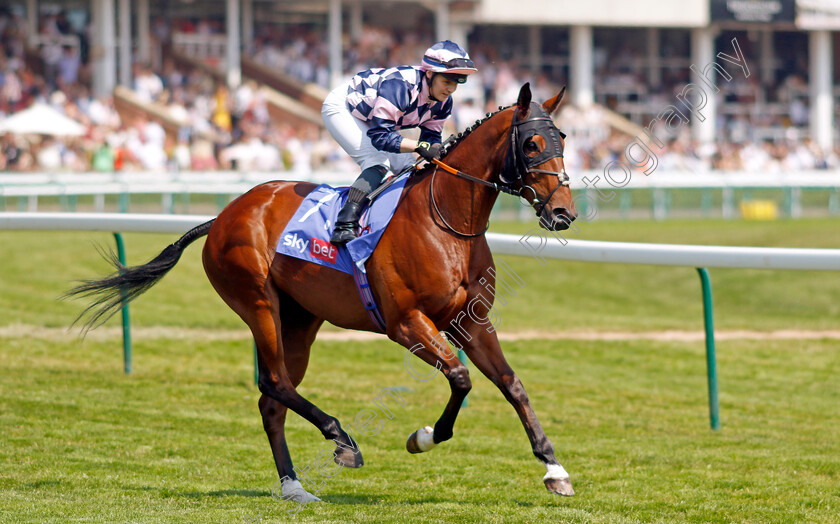 Dark-Pine-0001 
 DARK PINE (Laura Pearson)
Haydock 10 Jun 2023 - Pic Steven Cargill / Racingfotos.com