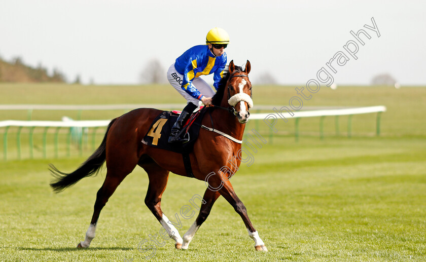 Stormbringer-0001 
 STORMBRINGER (Martin Harley) Newmarket 17 Apr 2018 - Pic Steven Cargill / Racingfotos.com