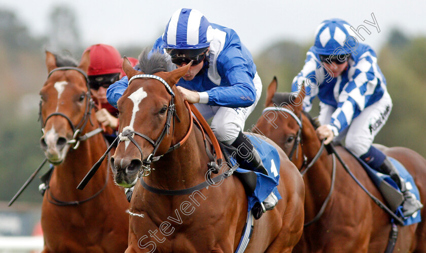 Amaan-0006 
 AMAAN (Dane O'Neill) wins The Dennis Hammill Memorial EBF Novice Stakes
Leicester 10 Sep 2019 - Pic Steven Cargill / Racingfotos.com