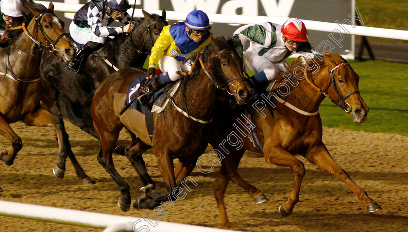 Zafaranah-0004 
 ZAFARANAH (right, Rob Hornby) beats ZORAYA (left) in The Ladbrokes Fillies Handicap 
Wolverhampton 7 Jan 2019 - Pic Steven Cargill / Racingfotos.com