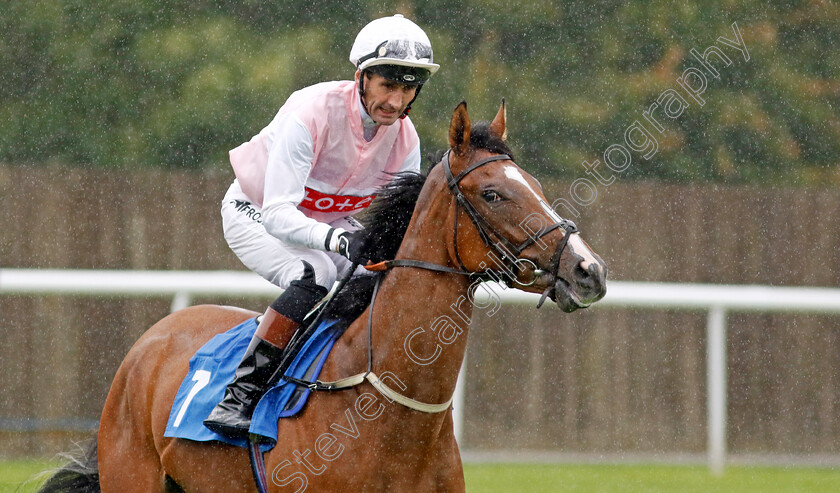 Freedom-Bay-0001 
 FREEDOM BAY (Dougie Costello)
Leicester 10 Sep 2024 - Pic Steven Cargill / Racingfotos.com