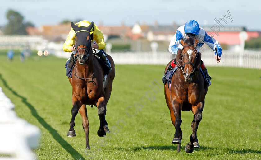 Ropey-Guest-0004 
 ROPEY GUEST (right, Tom Queally) beats AJYAALL (left) in The Sky Sports Racing Sky 415 Handicap
Yarmouth 15 Sep 2021 - Pic Steven Cargill / Racingfotos.com