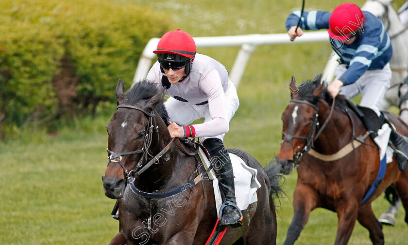 Iranistan-0009 
 IRANISTAN (Darren Nagle) wins The Marcellus Frost Champion Hurdle Percy Warner Park, Nashville 12 May 2018 - Pic Steven Cargill / Racingfotos.com