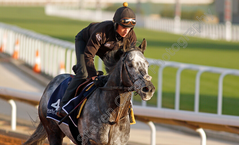 Happy-Power-0001 
 HAPPY POWER training for The Turf Sprint
King Abdulaziz Racetrack, Riyadh, Saudi Arabia 23 Feb 2022 - Pic Steven Cargill / Racingfotos.com