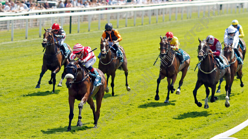 Menelaus-0005 
 MENELAUS (Connor Planas) wins The Andy Thornton Hospitality Furniture Handicap
York 16 Jun 2023 - Pic Steven Cargill / Racingfotos.com