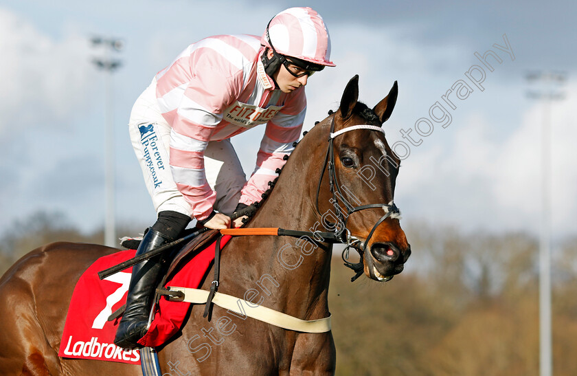 Roysse-0003 
 ROYSSE (Ben Jones)
Kempton 22 Feb 2025 - Pic Steven Cargill / Racingfotos.com