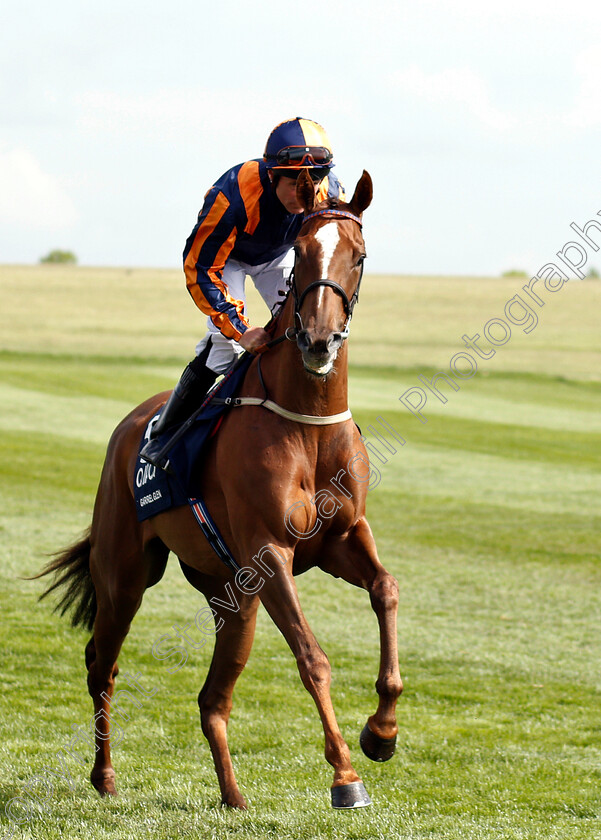 Garrel-Glen-0001 
 GARREL GLEN (John Egan)
Newmarket 5 May 2019 - Pic Steven Cargill / Racingfotos.com