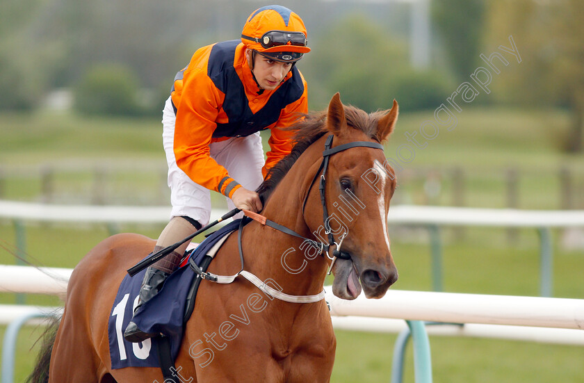 Potters-Question-0001 
 POTTERS QUESTION (Gabriele Malune)
Southwell 29 Apr 2019 - Pic Steven Cargill / Racingfotos.com