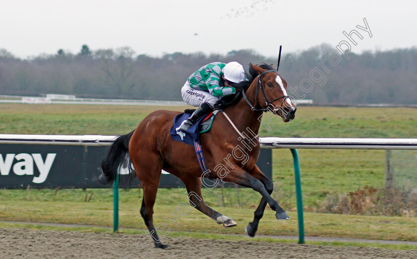 Karijini-0002 
 KARIJINI (Edward Greatrex) wins The 32Red.com Novice Stakes Lingfield 12 Jan 2018 - Pic Steven Cargill / Racingfotos.com