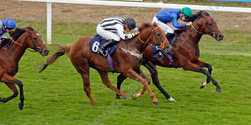 Time-Step-0004 
 TIME STEP (farside, Harry Davies) beats MAJESKI MAN (6) in The Sea Deer Handicap
Yarmouth 14 Sep 2022 - Pic Steven Cargill / Racingfotos.com