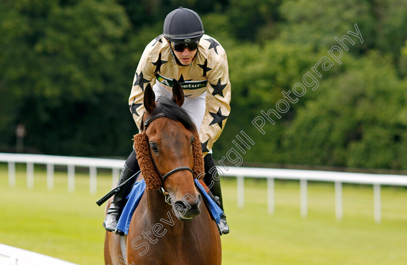 Saturnalia-0001 
 SATURNALIA (James Doyle)
Salisbury 16 Jun 2024 - Pic Steven Cargill / Racingfotos.com