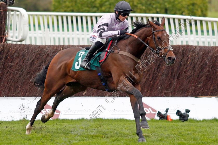 Getaway-Trump-0001 
 GETAWAY TRUMP (Harry Cobden)
Cheltenham 25 Oct 2019 - Pic Steven Cargill / Racingfotos.com