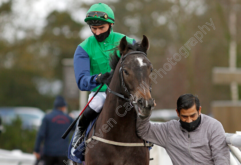 Ford-Madox-Brown-0002 
 FORD MADOX BROWN (Daniel Tudhope) before winning The Ladbrokes Novice Auction Stakes
Lingfield 19 Dec 2020 - Pic Steven Cargill / Racingfotos.com