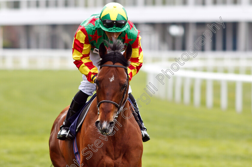 Danehill-Kodiac-0001 
 DANEHILL KODIAC (Sean Levey)
Ascot 1 May 2019 - Pic Steven Cargill / Racingfotos.com