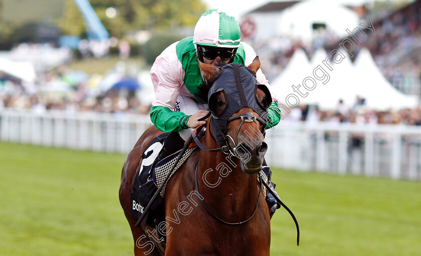 Duke-Of-Hazzard-0006 
 DUKE OF HAZZARD (P J McDonald) wins The Bonhams Thoroughbred Stakes
Goodwood 2 Aug 2019 - Pic Steven Cargill / Racingfotos.com