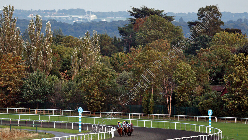 Kempton-0003 
 Horses turn for home with Epsom Racecourse grandstand in the distance
Kempton 29 Aug 2018 - Pic Steven Cargill / Racingfotos.com