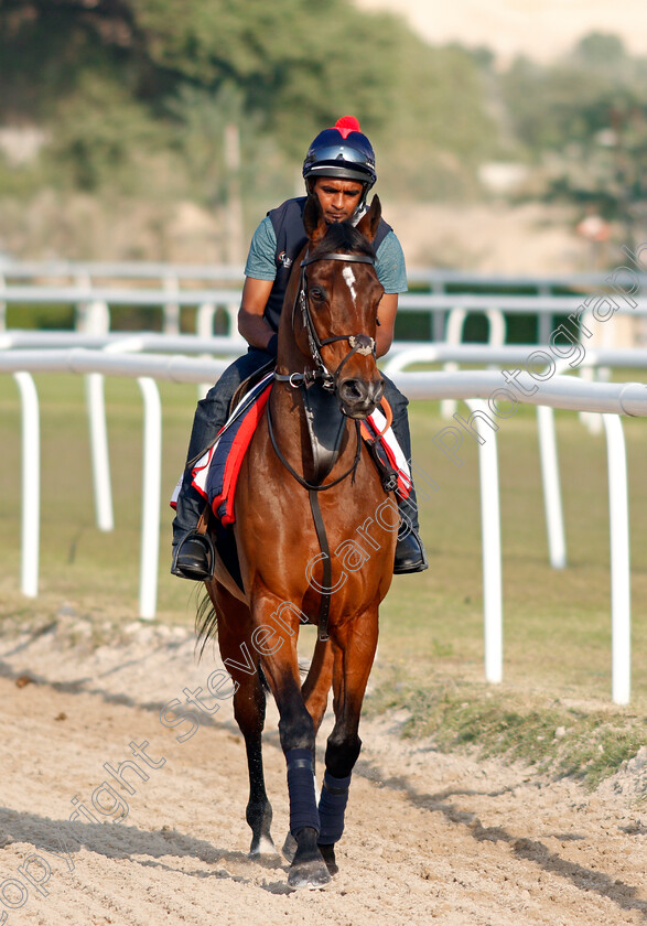 Desert-Encounter-0001 
 DESERT ENCOUNTER training for the Bahrain International Trophy
Rashid Equestrian & Horseracing Club, Bahrain, 19 Nov 2020 - Pic Steven Cargill / Racingfotos.com