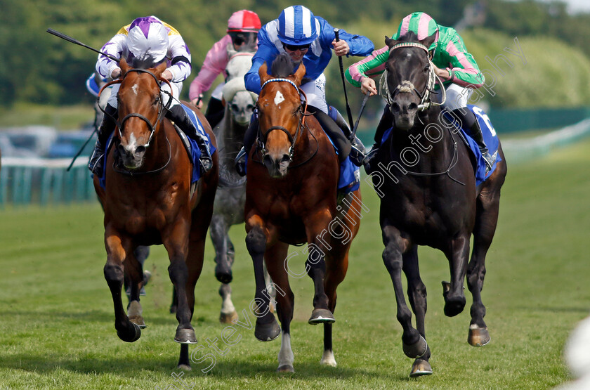 Pogo-0007 
 POGO (right, Kieran Shoemark) beats LANEQASH (centre) and KINROSS (left) in The Betfred John Of Gaunt Stakes
Haydock 28 May 2022 - Pic Steven Cargill / Racingfotos.com