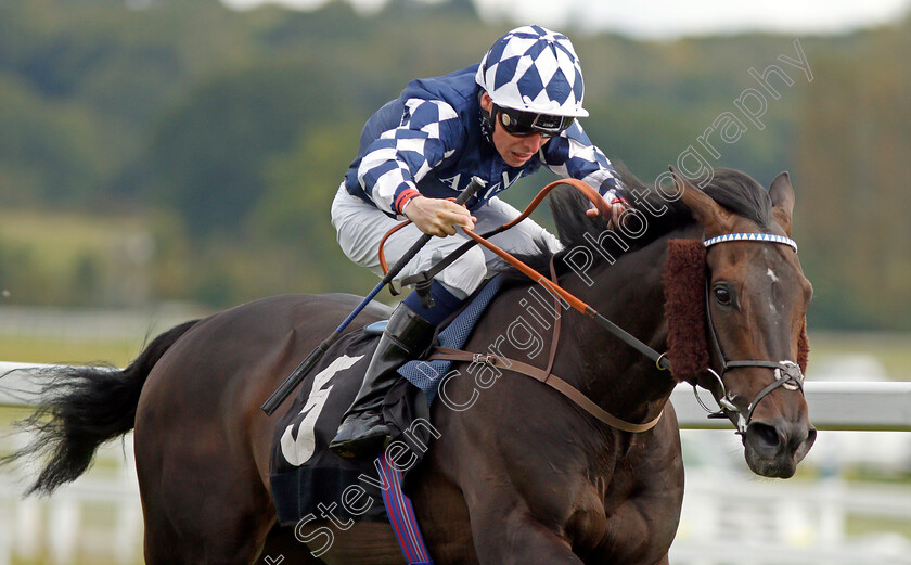 Blakeney-Point-0006 
 BLAKENEY POINT (Kieran Shoemark) wins The Dubai Duty Free Handicap Newbury 22 Sep 2017 - Pic Steven Cargill / Racingfotos.com