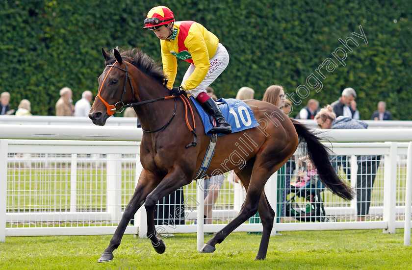 Undertheboardwalk-0001 
 UNDERTHEBOARDWALK (Oisin Murphy) winner of The Sorvio Insurance Brokers Novice Stakes Div2
Salisbury 12 Aug 2021 - Pic Steven Cargill / Racingfotos.com