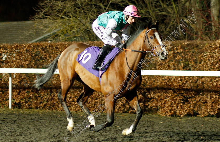 Sash-0001 
 SASH (Richard Kingscote)
Kempton 12 Dec 2018 - Pic Steven Cargill / Racingfotos.com