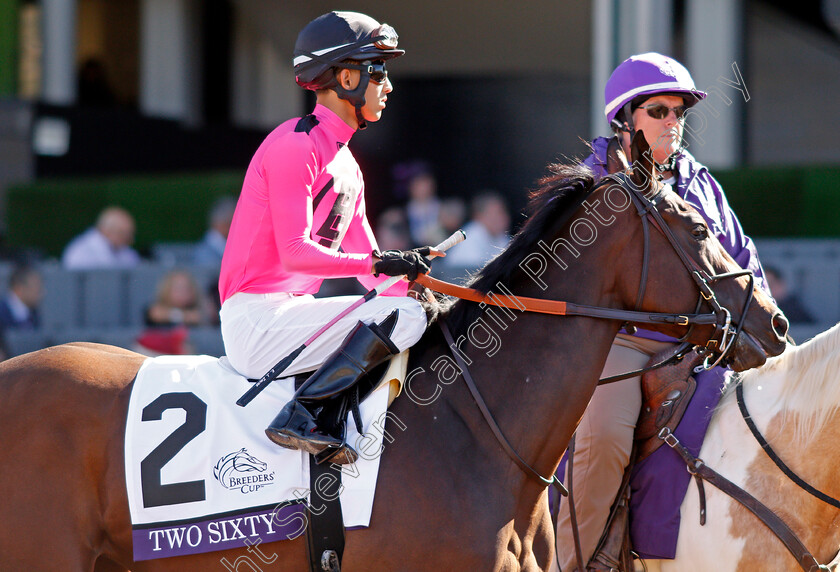 Two-Sixty-0001 
 TWO SIXTY (Edgard Zayas)
Santa Anita 1 Nov 2019 - Pic Steven Cargill / Racingfotos.com