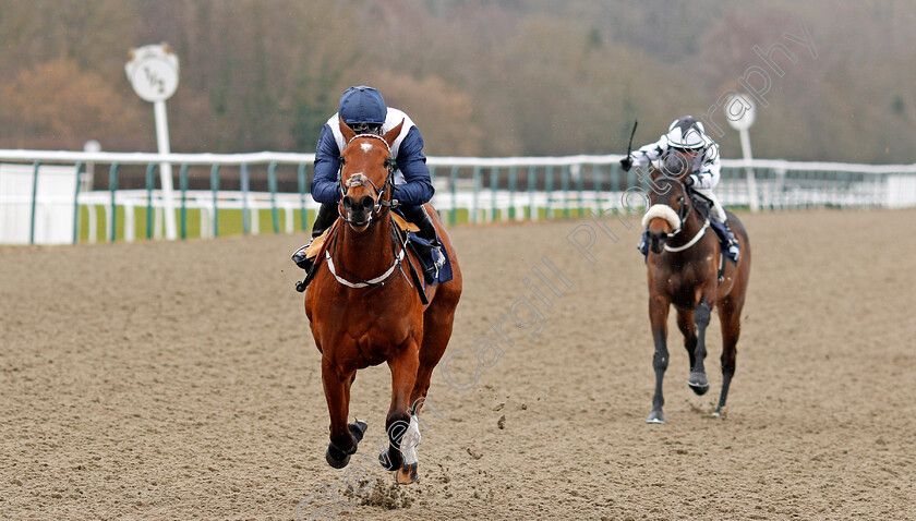 Carouse-0002 
 CAROUSE (Oisin Murphy) wins The 32Red Casino Claiming Stakes Lingfield 14 Feb 2018 - Pic Steven Cargill / Racingfotos.com