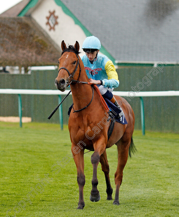 Zamandas-0001 
 ZAMANDAS (David Egan) Yarmouth 24 Apr 2018 - Pic Steven Cargill / Racingfotos.com